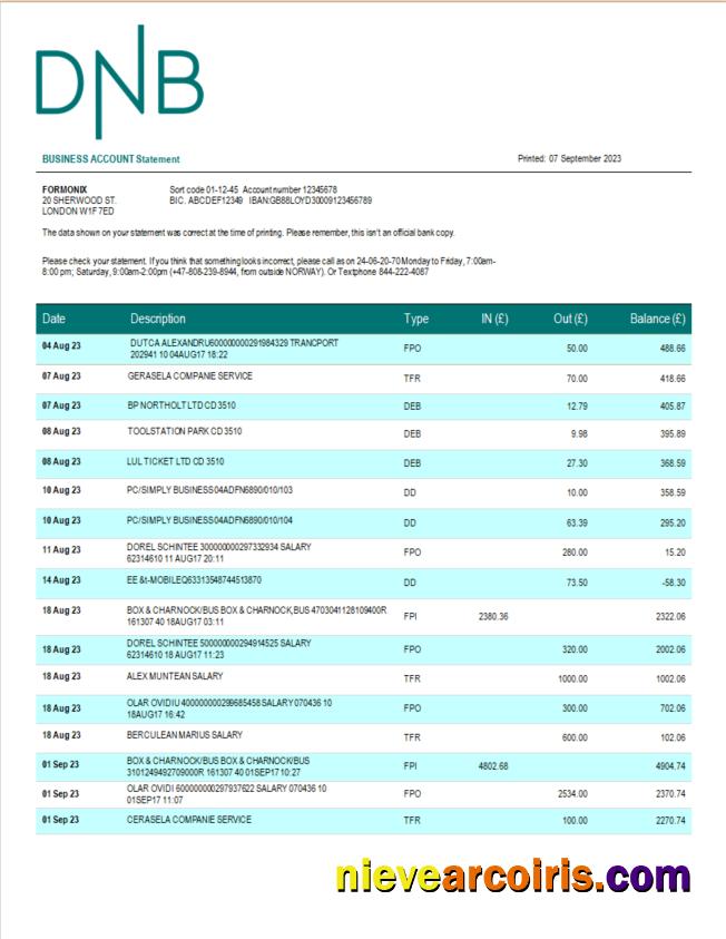 DNB Bank firm account statement